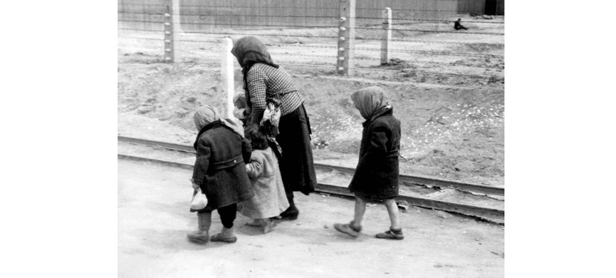 Кадры из Освенцима