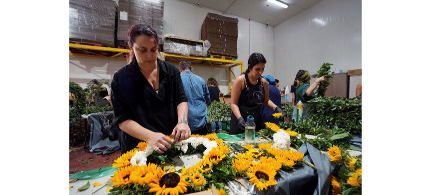 Волонтёры плетут венки на сотни похорон по всей стране