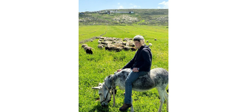 14-летний Биньямин Ахимеир отвечал в поселении за выпас овец